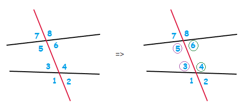 Angles that are interior and consecutive.